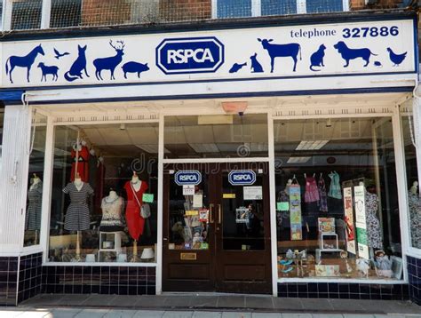 rspca shop near me